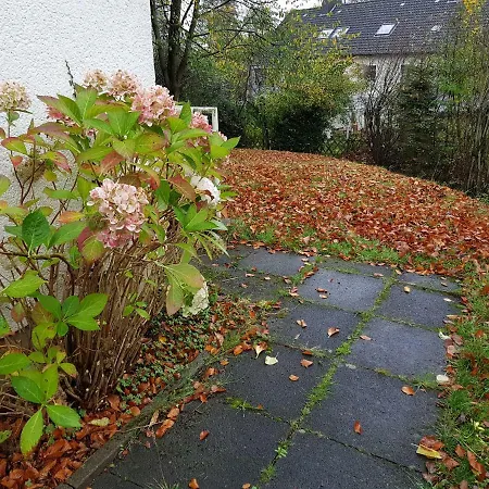Adler-haus Guest house Herford