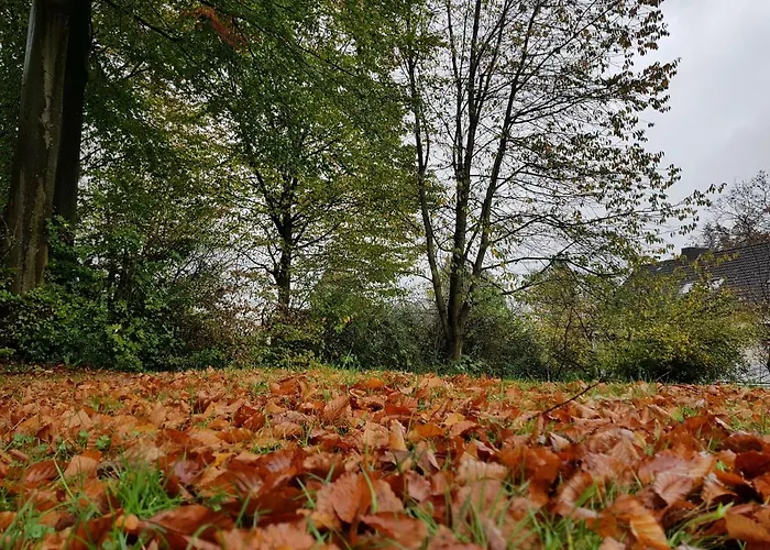 Gæstehus Adler-haus